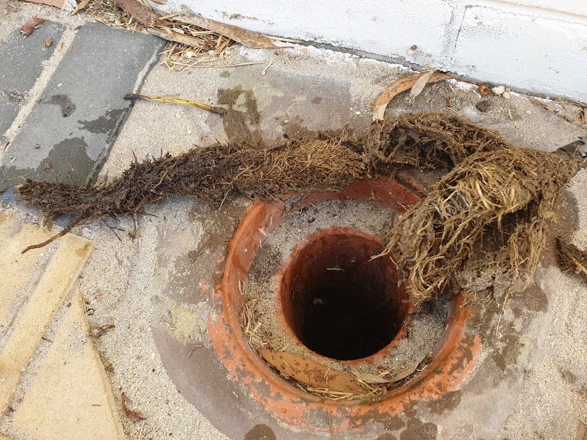 BLOCKED DRAINS PERTH - Drain Cleaning Service